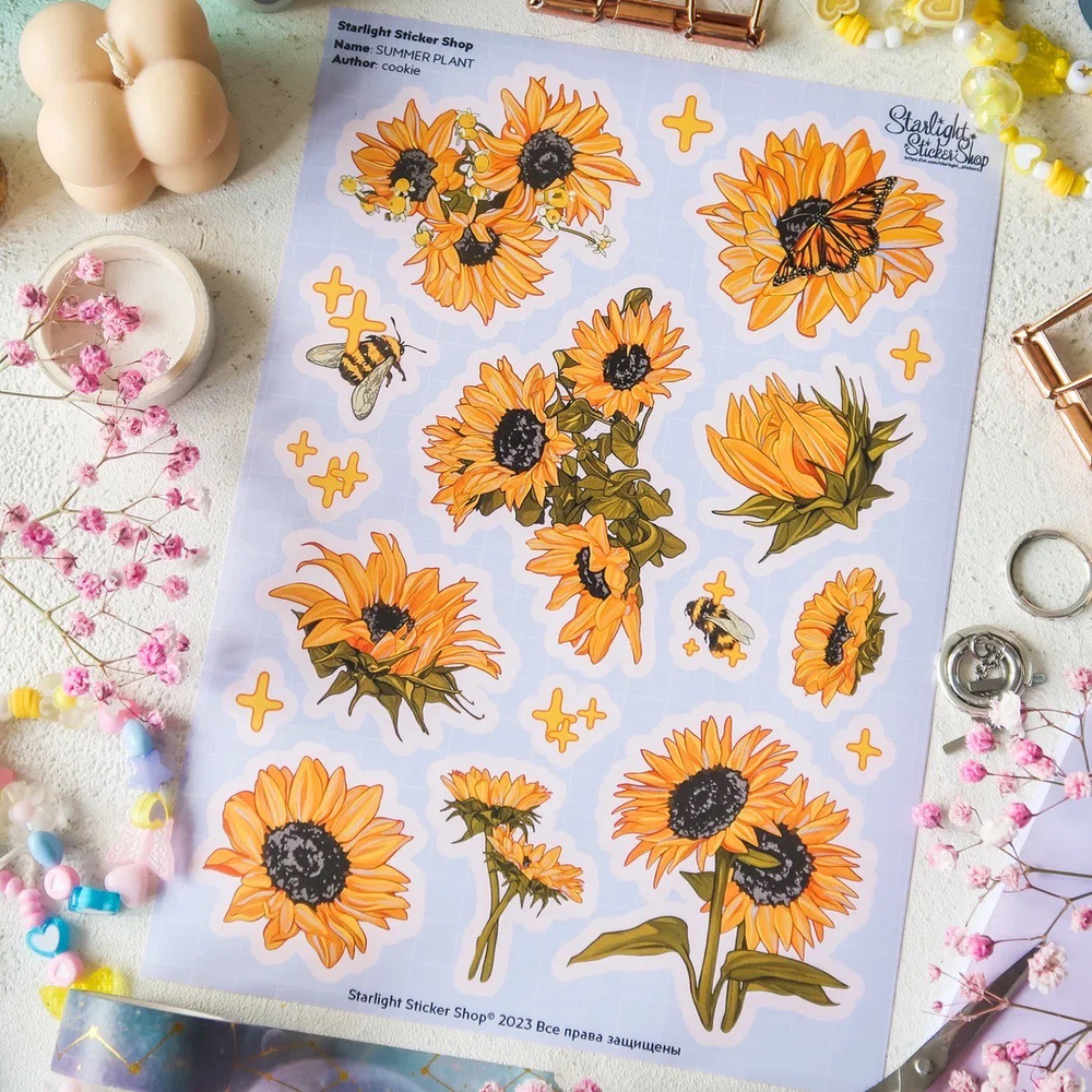 MINI PACK SUMMER PLANT