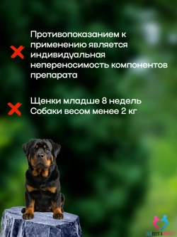 Бравекто для собак 20-40 кг, против блох и клещей