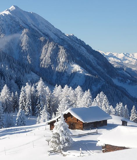 Mountain, диффузор Stile collection, Culti Milano