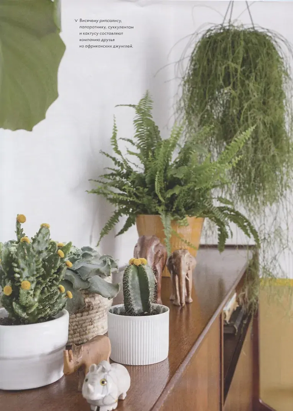 Urban Jungle