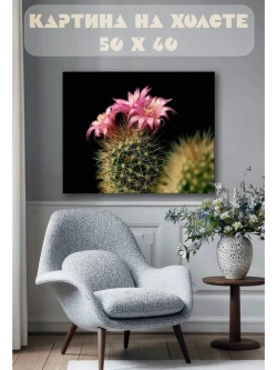 Картина на стену 40 X 50 Цветущий кактус