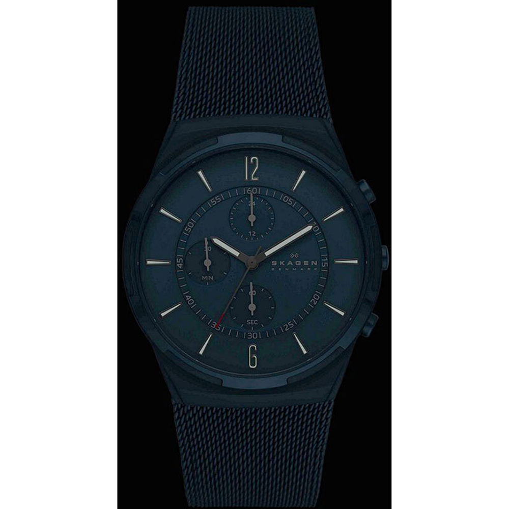 Мужские наручные часы Skagen SKW6803