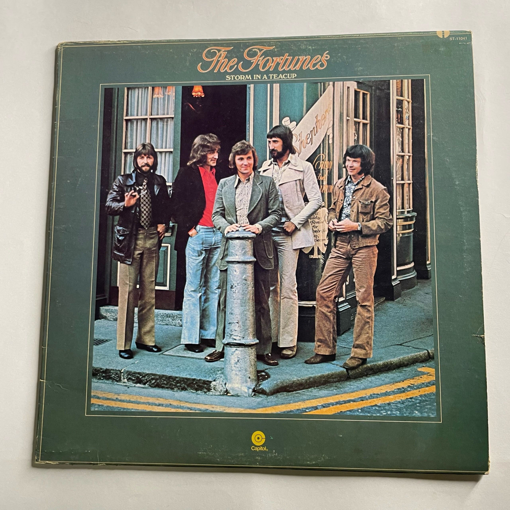 Винтажная виниловая пластинка LP The Fortunes Storm In A Teacup (Канада 1972)