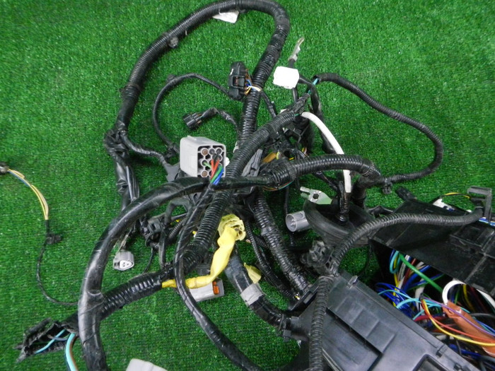 DSCN4448.JPG