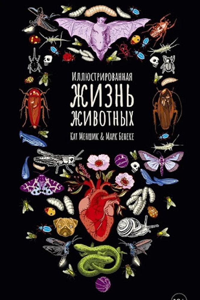Иллюстрированная жизнь животных Иллюстрированная жизнь животных