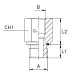 Соединение PFE BSP 1 - BSP 1.1/4