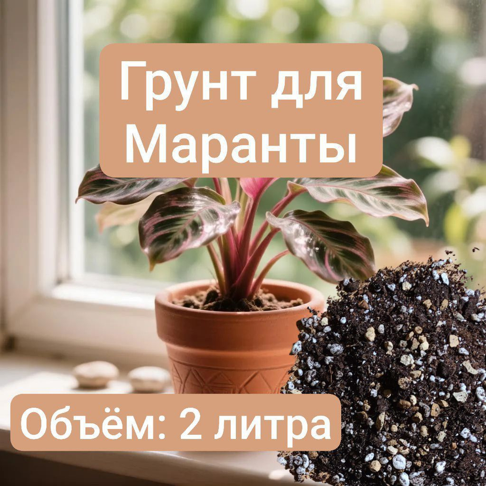 Авторский грунт для Маранты 2 литра грунт универсальный 2 литра