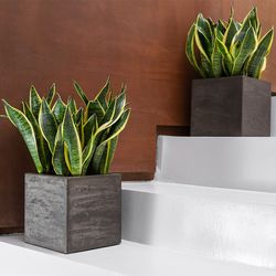Кашпо COLONNA BREZENT GREY 30x30x90