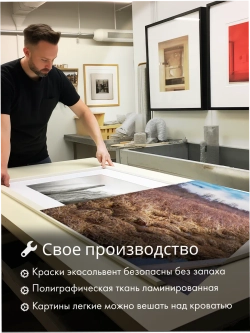 Картина Тайна болотной тропы модульная 50x70см 3шт.