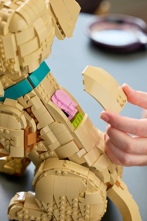 Конструктор LEGO Icons 11384 Golden Retriever Puppy