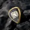 Nostalgia Audio Pendragon Black Gold