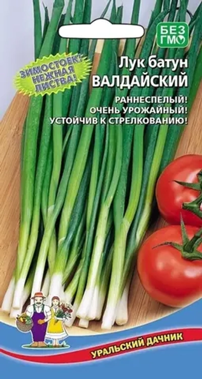 Семена Лук батун Валдайский (УД) Е/П