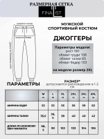 Спортивный костюм на молнии с капюшоном