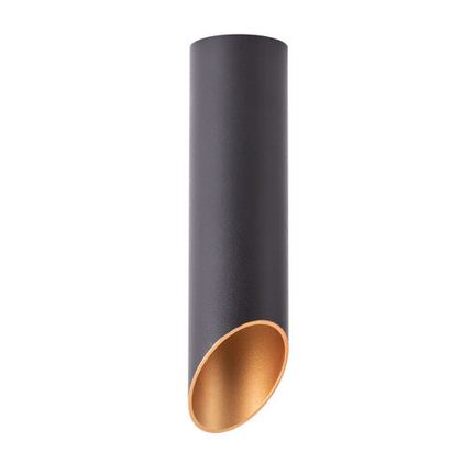 Светильник потолочный Arte Lamp Pilon-Gold A1535PL-1BK