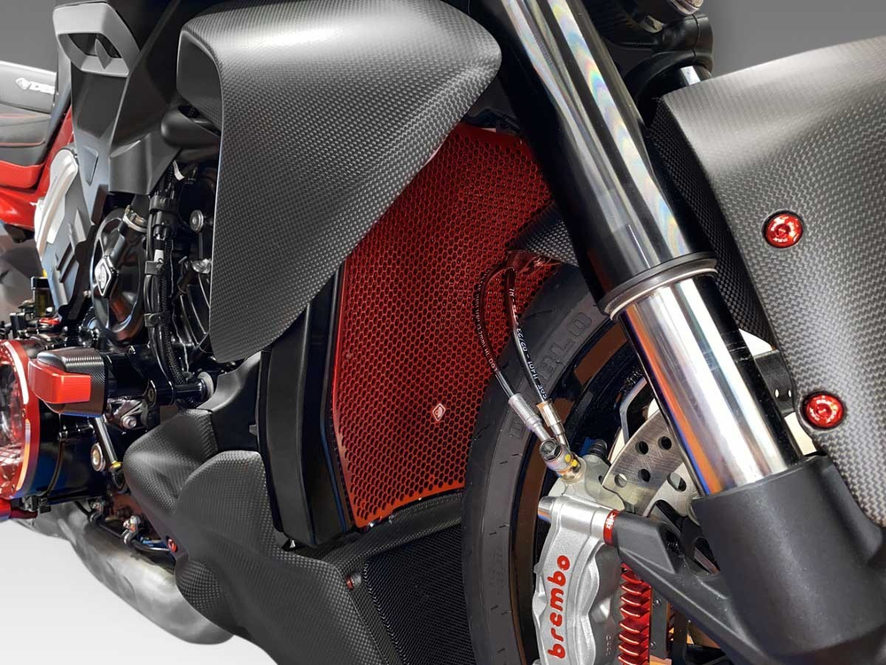 GR16 DBK RADIATOR GUARD (DVL V4)