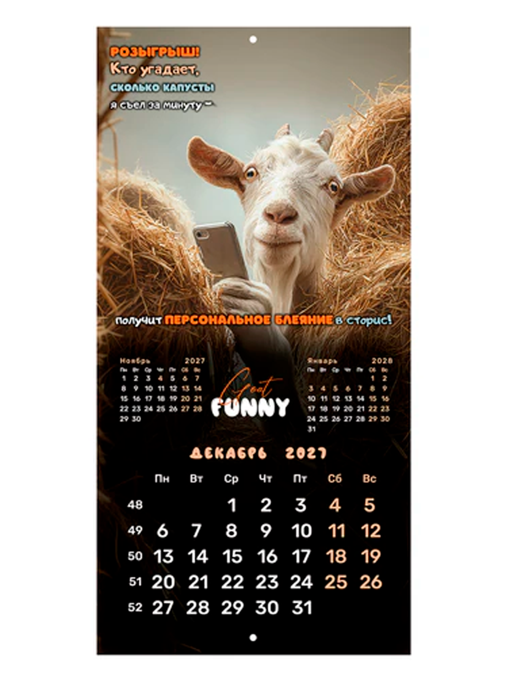 Календарь настенный "Goat calendar", 2027г.