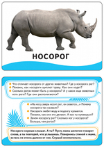 Животные (Разв.карточки 0+)/Росмэн/КН. 4680010499795