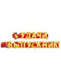 Гирлянда "Удачи, выпускник!", 200см