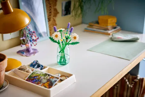 Конструктор LEGO Botanical Collection 11508 Daisies