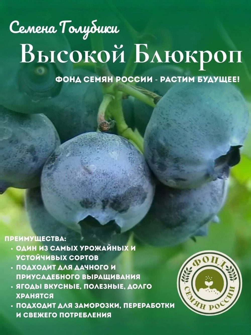 Голубика, Аврора, Семена Ягод, 0.01 гр.