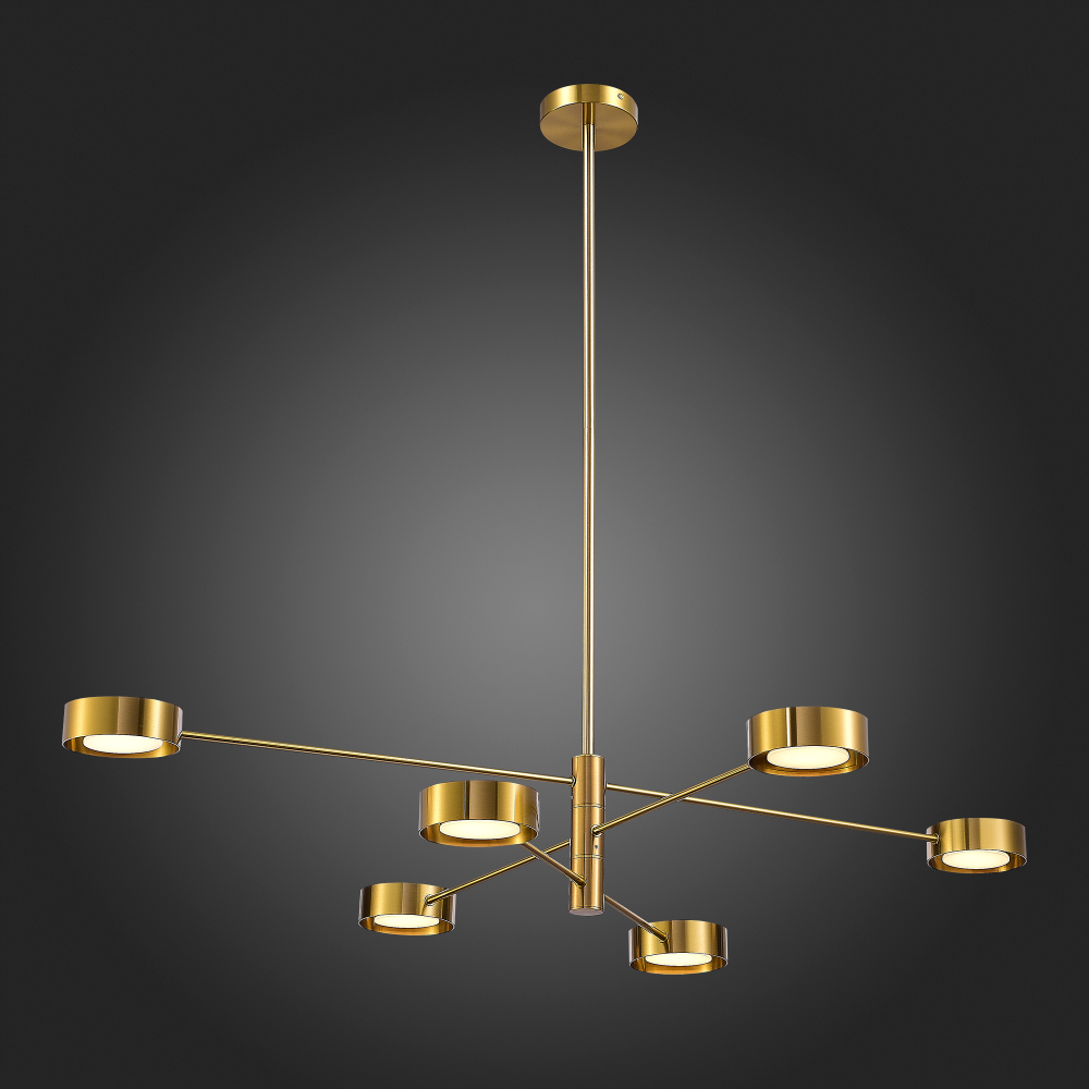 Светильник потолочный ST Luce Vico SL6504.302.06