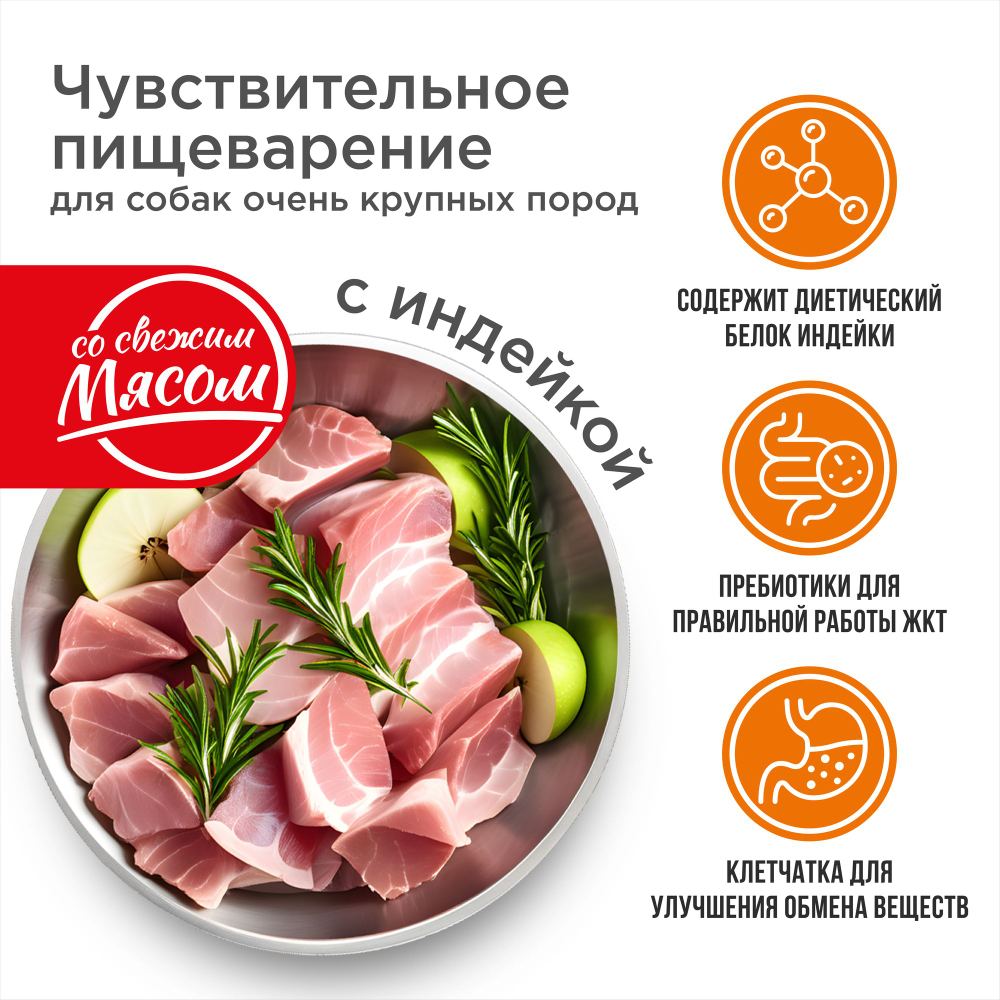Корм сухой для взрослых собак очень крупных пород, премиум полнорационный комплекс, чувствительное пищеварение, с индейкой, 12 кг, QUATTRO