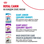 Royal Canin Giant Puppy Джайнт Паппи Корм сухой для щенков очень крупных пород 15кг