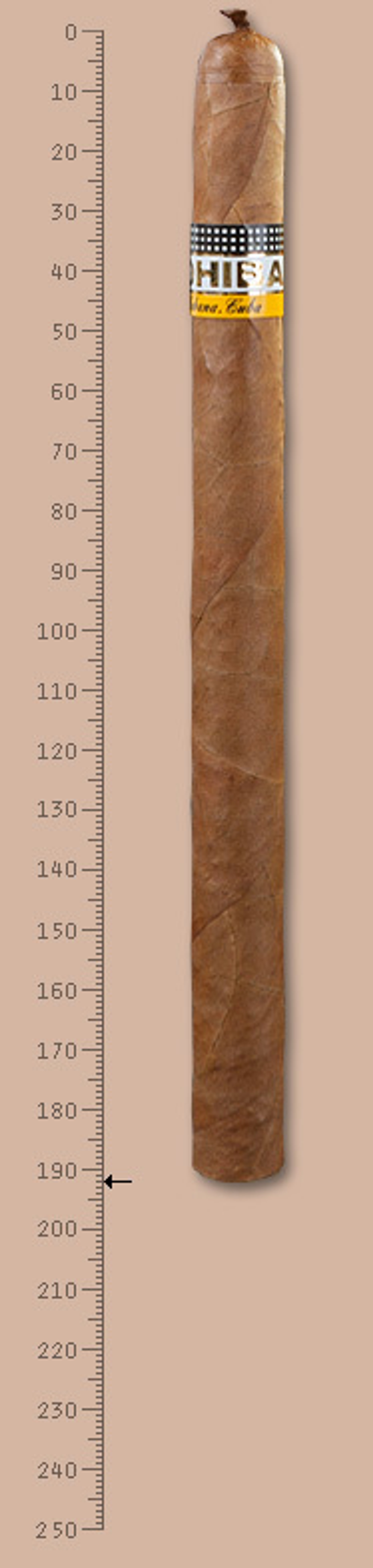 Cohiba Lanceros
