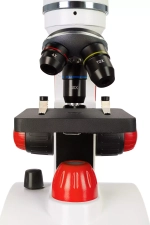 Микроскоп Levenhuk Discovery Pico Terra + Книга