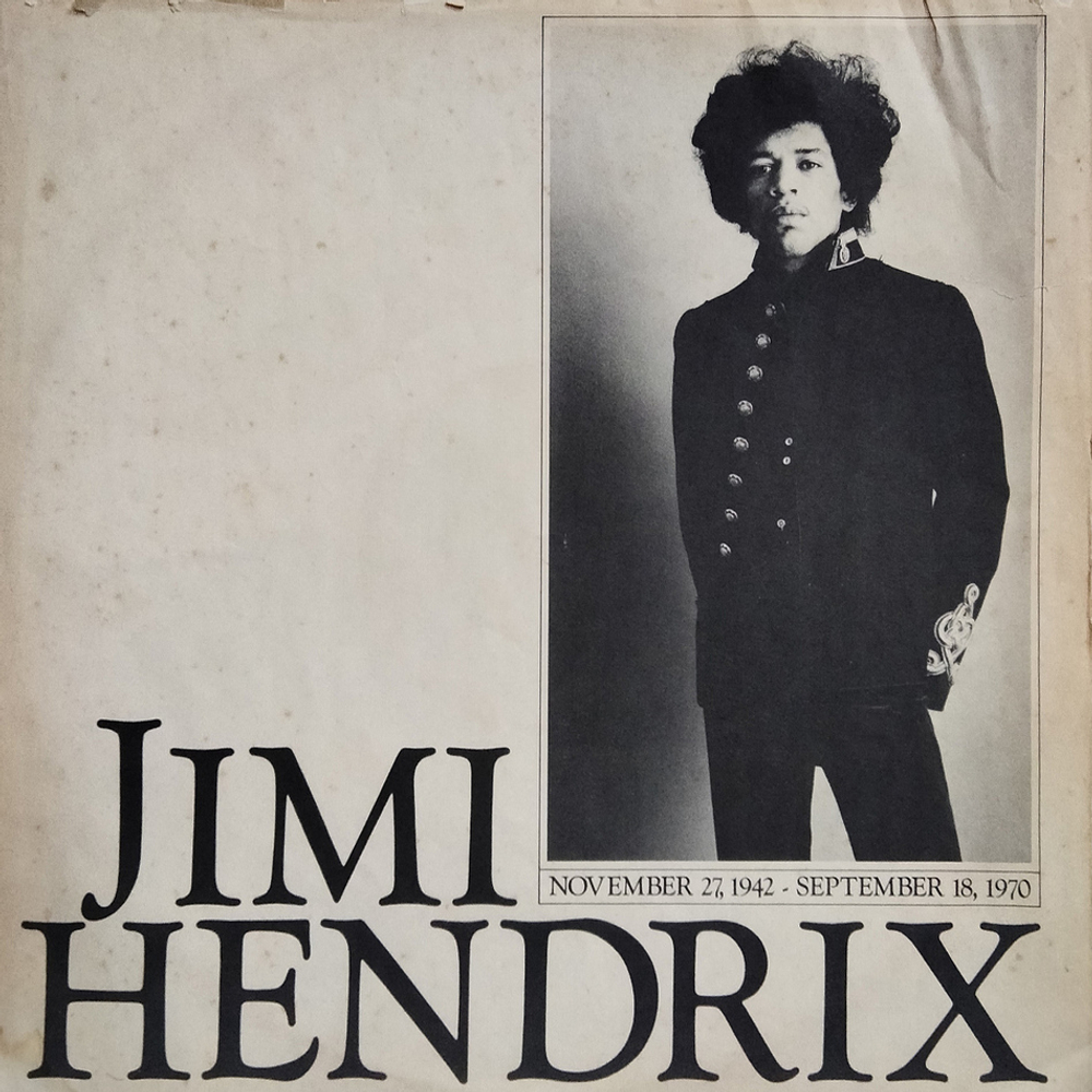 The Jimi Hendrix Experience / Are You Experienced (LP)