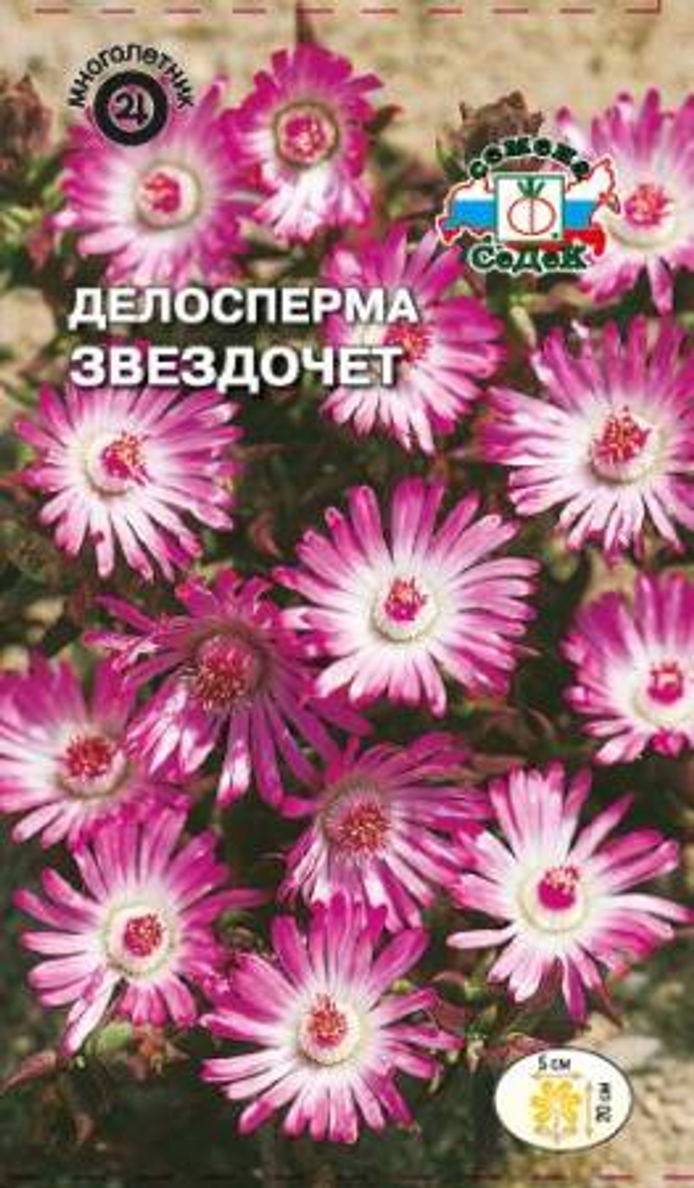 Делосперма Звездочет многолетник 0,02г (Седек)