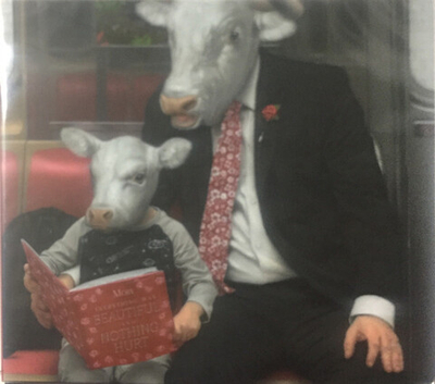 Moby — Everything Was Beautiful And Nothing Hurt - Cd_cyr (CD)
