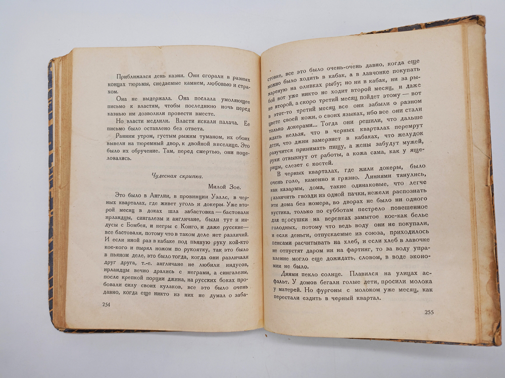 "Лирическая земля". Ник.Никитин. 1927 г.