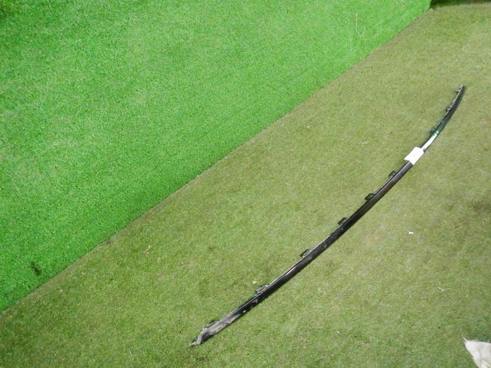 DSCN0347.JPG