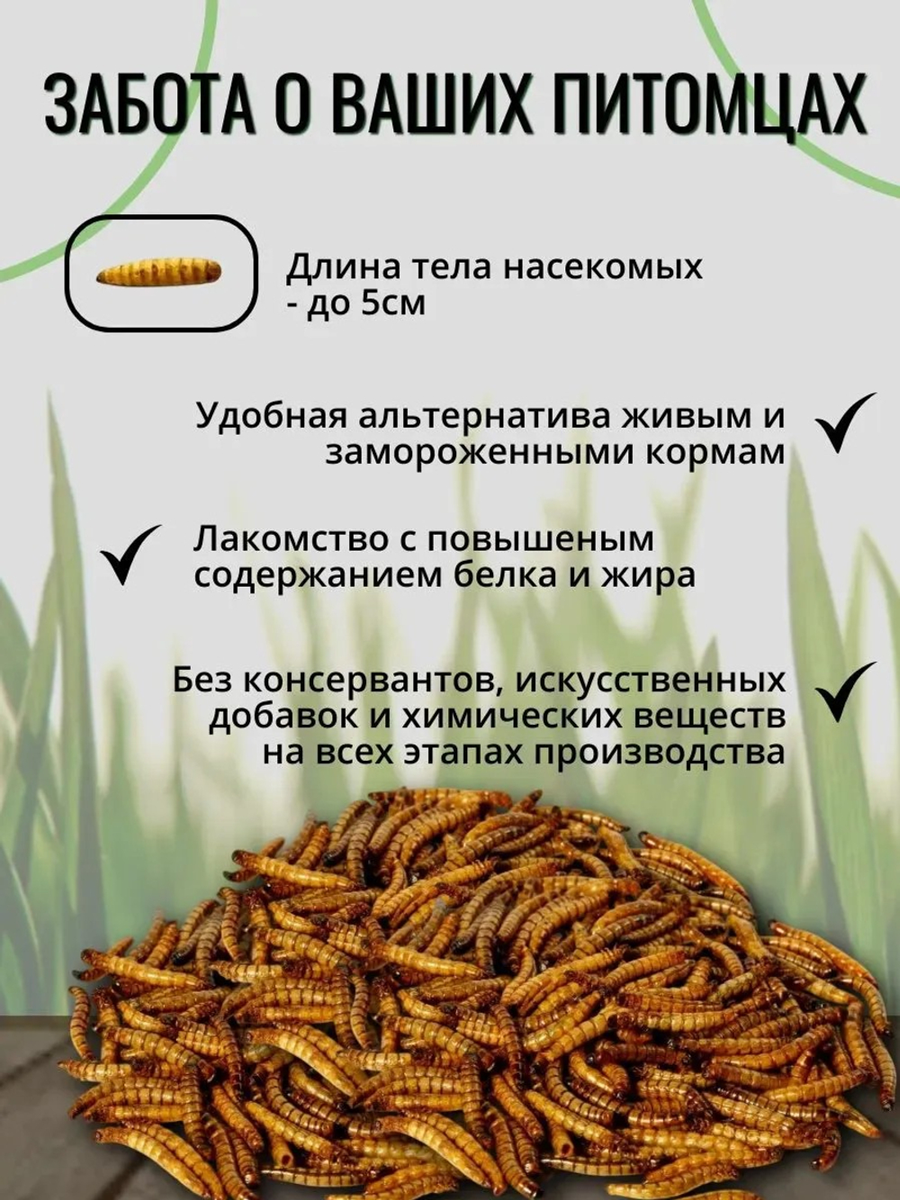 Мучной червь консервированный ONTO, 40 г