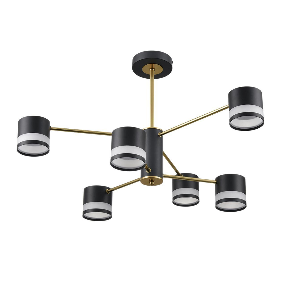 Потолочная люстра Lumion LANIKA 8240/6C