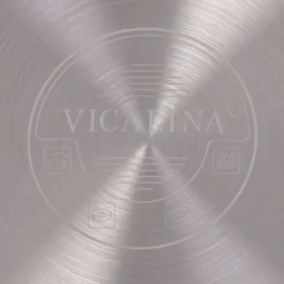 Чайник из нержавеющей стали 3л «Vicalina» VL-9255, матовый, ручка микс цветов✦