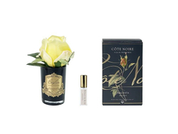 Диффузор Бутон розы диффузор ROSE BUD Cote Noire Черный / Золотой / Желтый