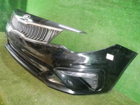 DSCN0256.jpg
