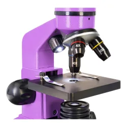 Микроскоп Levenhuk Rainbow 2L Amethyst\Аметист - предметный столик с зажимами и включенная подсветка