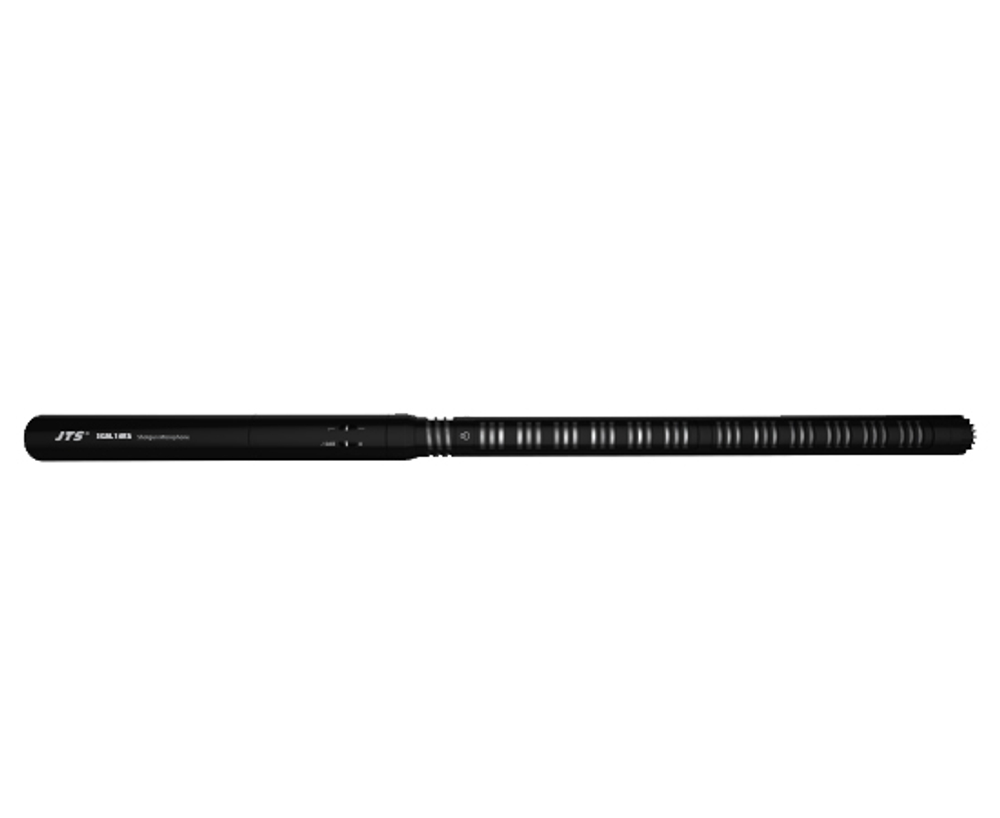 jts_cm-sgm_14ka.jpg