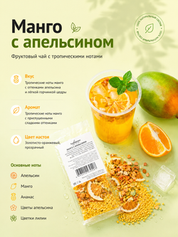 Набор авторского чая Tasteabrew "ICE" (25 порций чая + система заваривания в подарок)