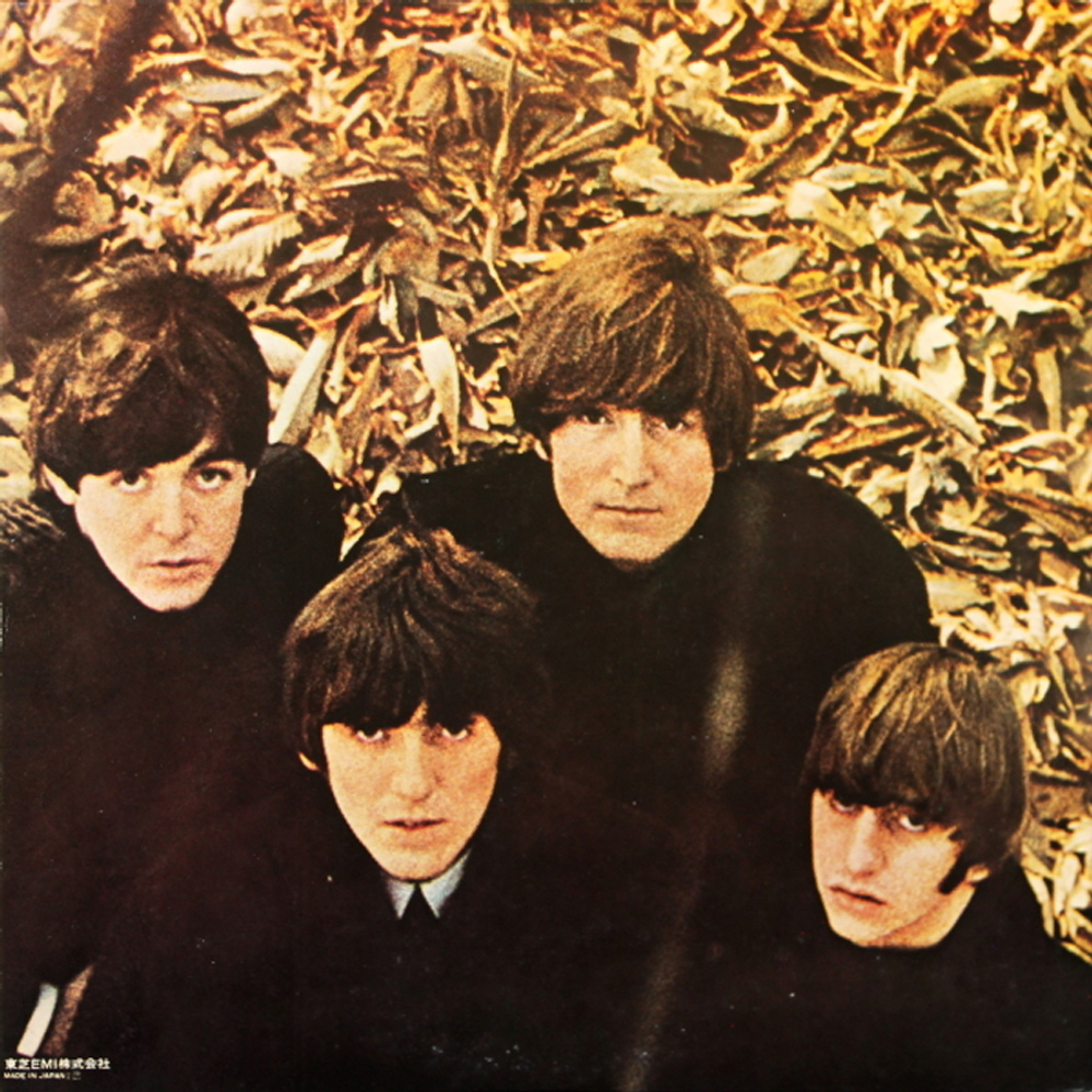 The Beatles / The Beatles Collection (14LP)