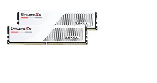 Оперативная память G.SKILL F5-5200J4040A48GX2-RS5W