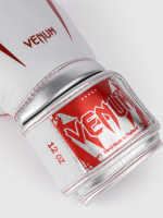 Перчатки боксерские Venum Giant 3.0 Gray/Silver