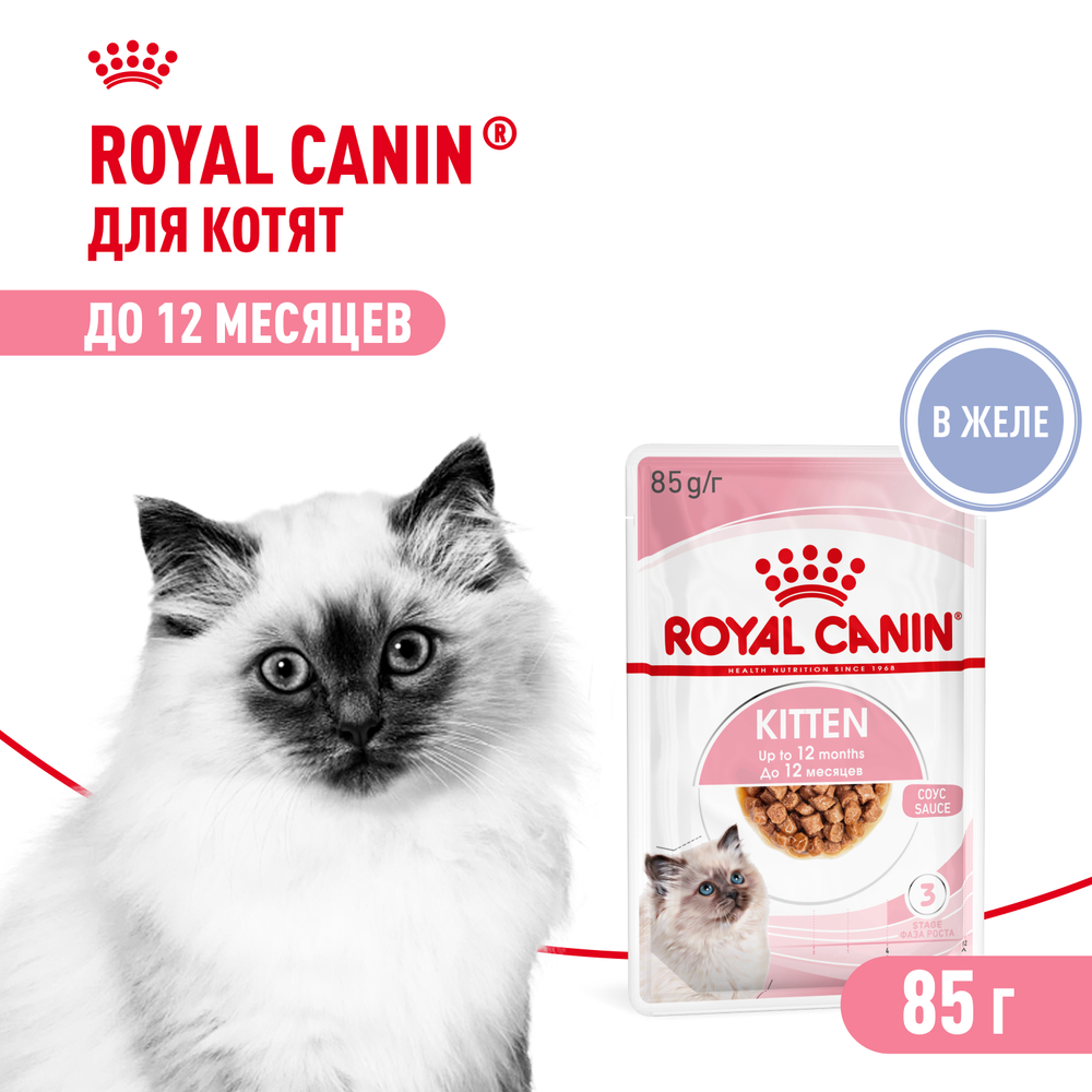 Royal Canin Kitten Киттен Корм влажный для котят в период третьей фазы роста в возрасте до 12 месяцев желе 85г