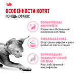 Royal Canin Sphynx Kitten Киттен Сфинкс Корм сухой для котят породы Сфинкс в возрасте от 4 до 12 месяцев 2кг