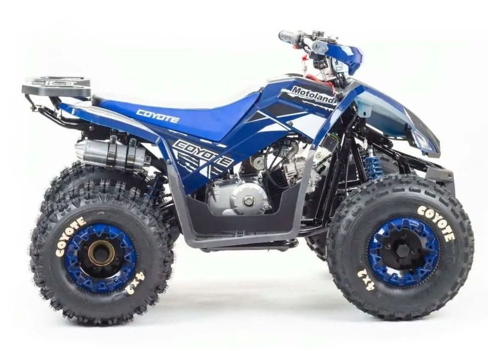 Квадроцикл MOTOLAND 125 COYOTE