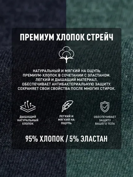 Трусы мужские боксеры (2шт), Atlantic 2MH-173, хлопок, зеленый лес + темно-синий