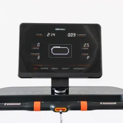Беговая дорожка GENAU Nordic Z1